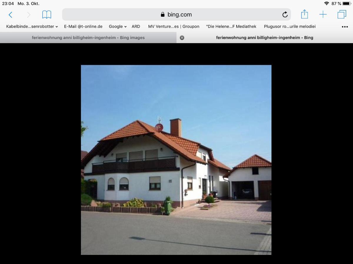 „Ferienwohnung Anni“ Billigheim-Ingenheim Exterior photo